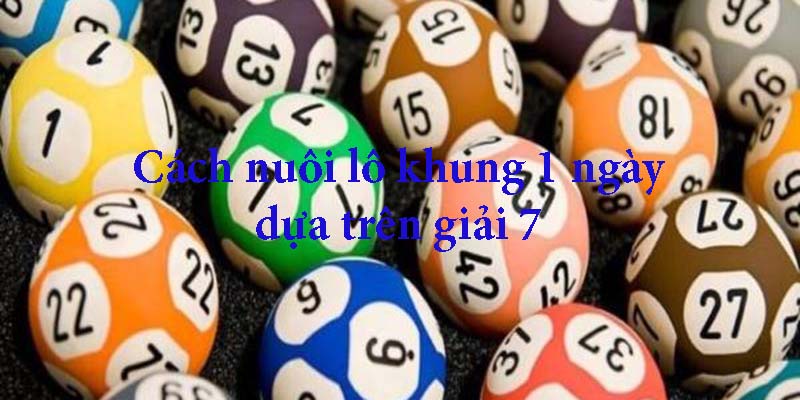 Cách Nuôi Lô Khung 1 Ngày