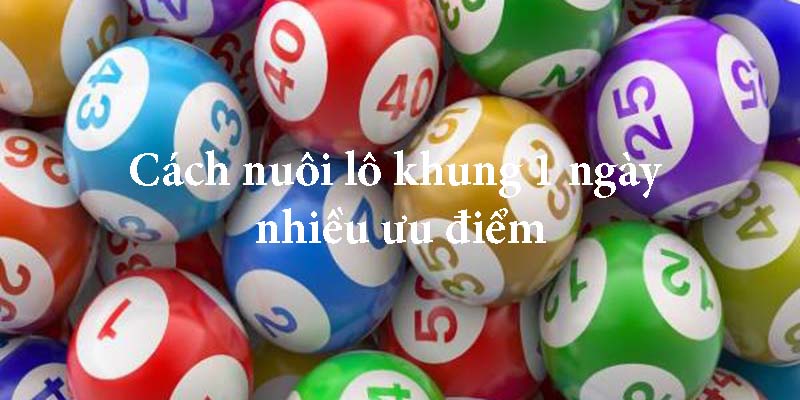 Cách Nuôi Lô Khung 1 Ngày