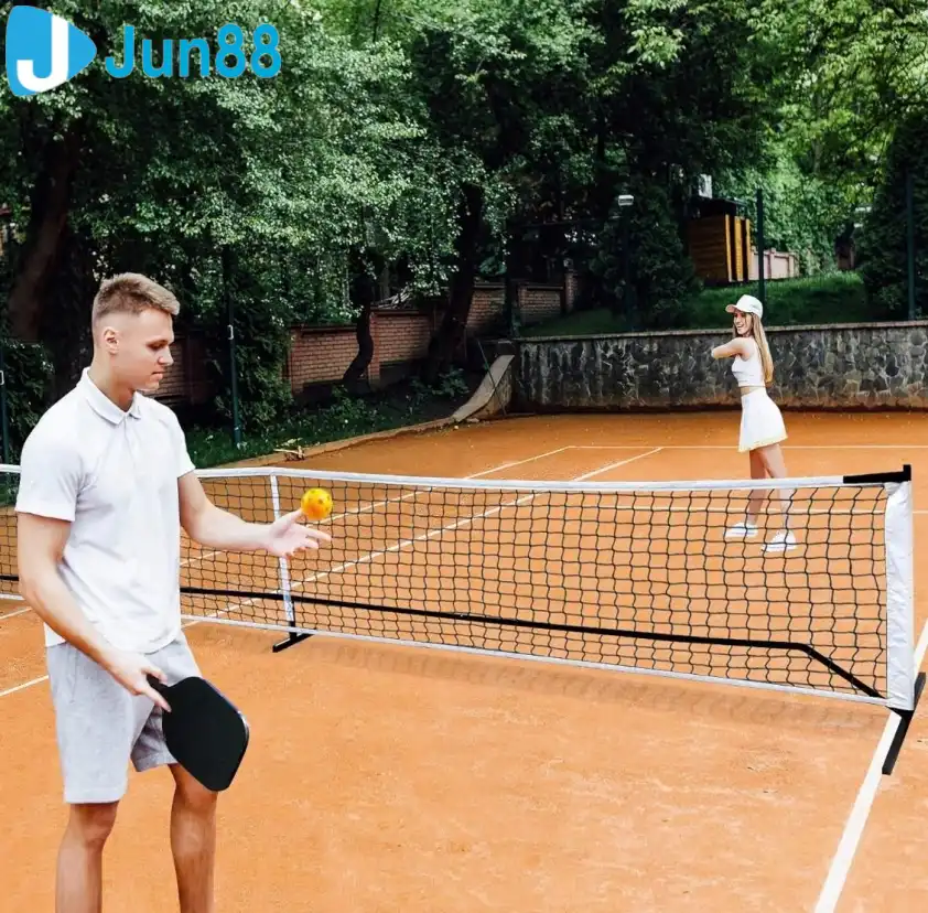 Lưới ZenY Portable Pickleball Net Lưới ZenY Portable Pickleball Net